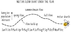 nectar-flow-chart – Beekeeping Insider