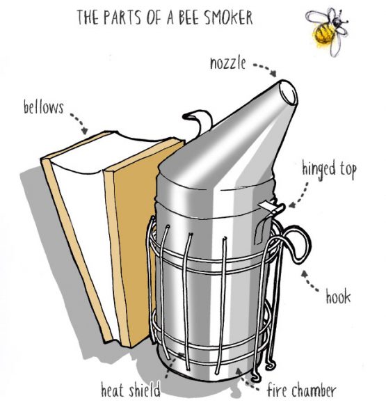 How to use a Bee Smoker