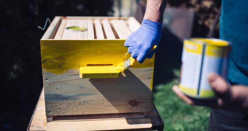 Can You Paint A Beehive With Bees In It? | Beekeeping Insider