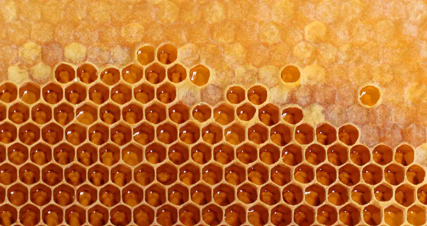 uncapped-honey-what-to-do-and-what-does-it-mean-beekeeping-insider